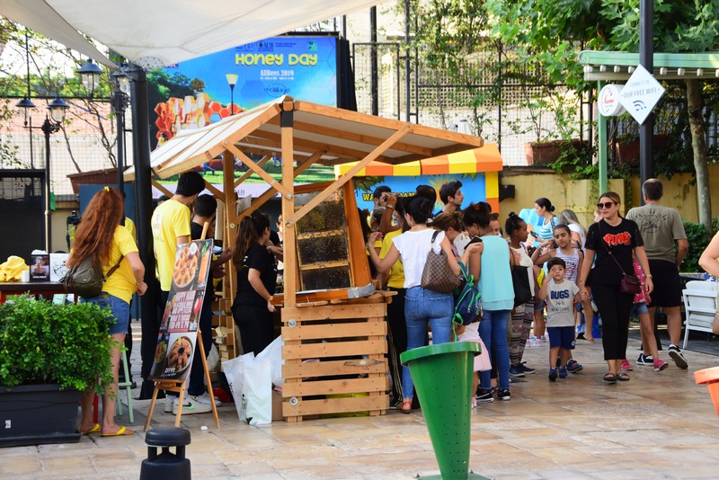 Honey Day-AUBees 2019
